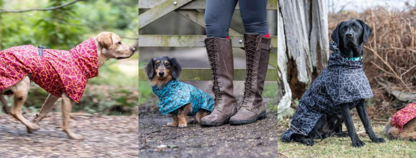 rukka raincoat for dogs - best spring coats for dogs