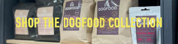 the best dry dog food