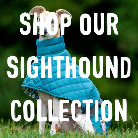 sighthound coats