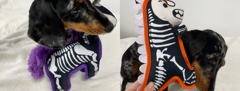 tough halloween dog toys