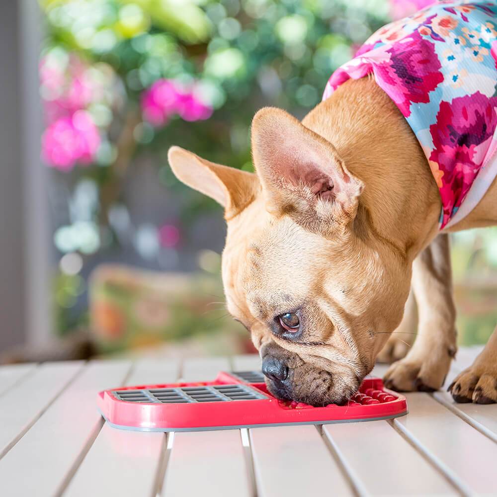 ▷ Lickimat Soother Tuff Lick Mat For Dogs 【 Dog 】