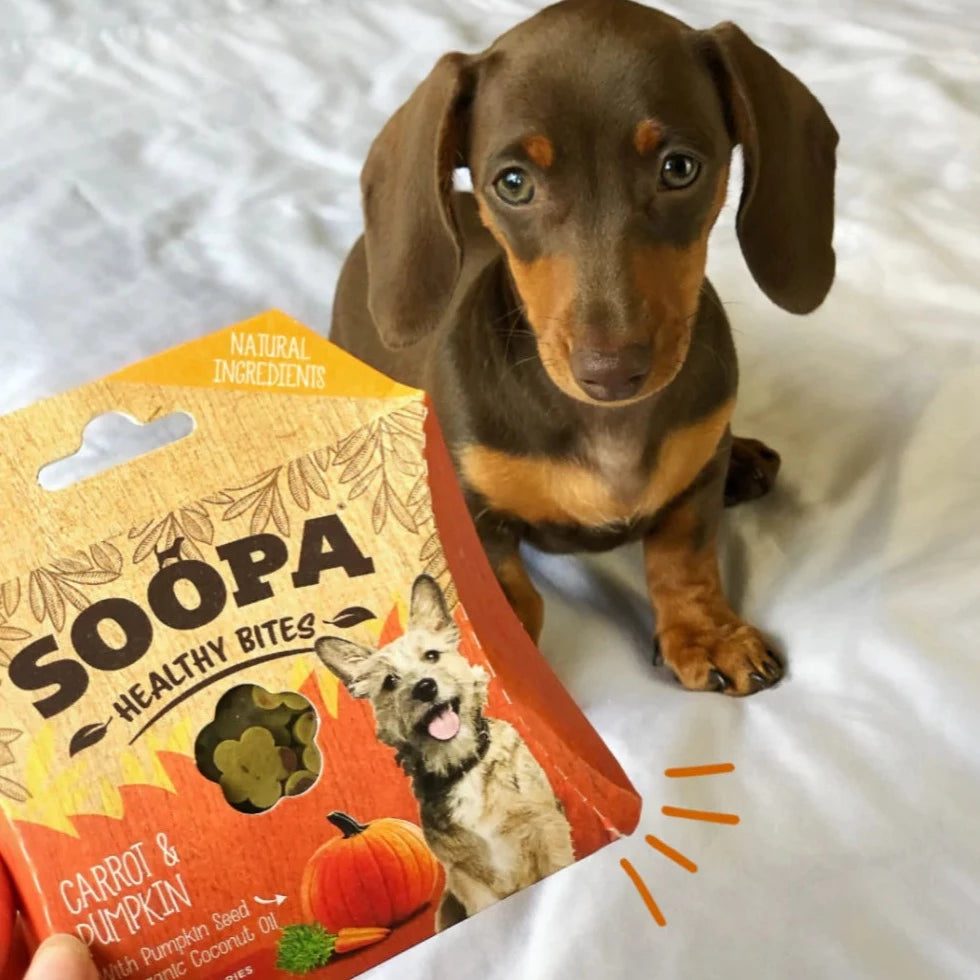 what is the best natural dachshund chewable food