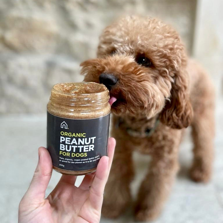 is whole earth peanut butter ok for dogs