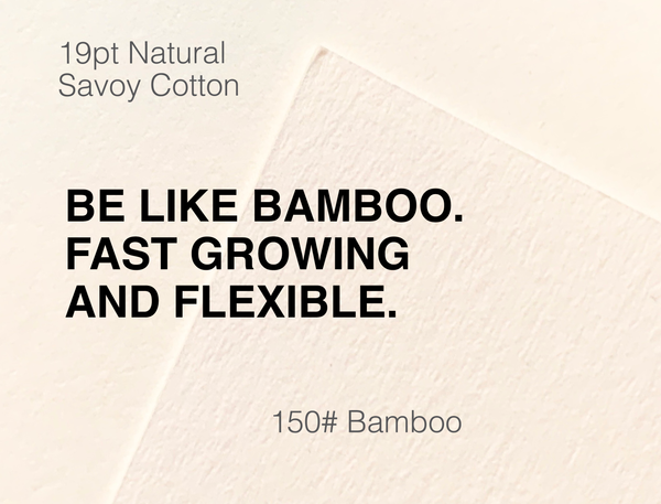 Bamboo Paper Swatch