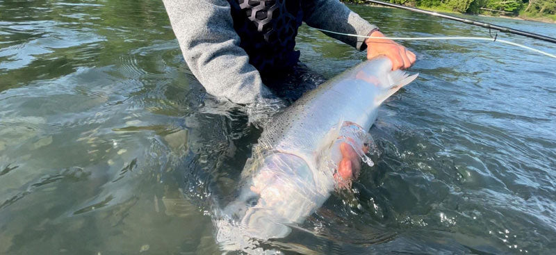 Jerry's Intruder Black/Blue steelhead salmon flies – Jerry French Fly  Fishing
