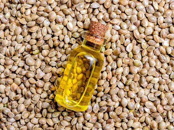 What are the benefits of Hemp Seed Oil? 