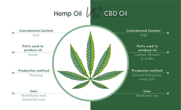 Hemp seed oil vs CBD: Whats the difference? 