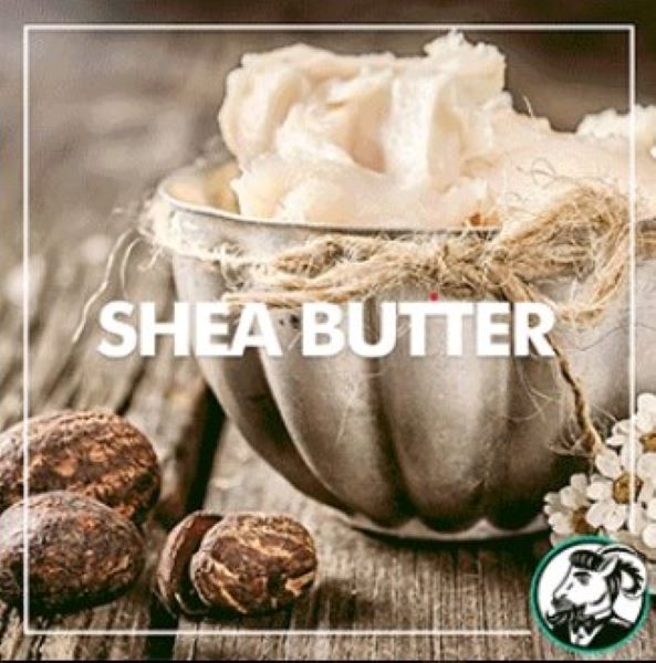 Shea Butter Benefits For Hair -  Butyrospermum Parkii Butter Benefits For Hair.