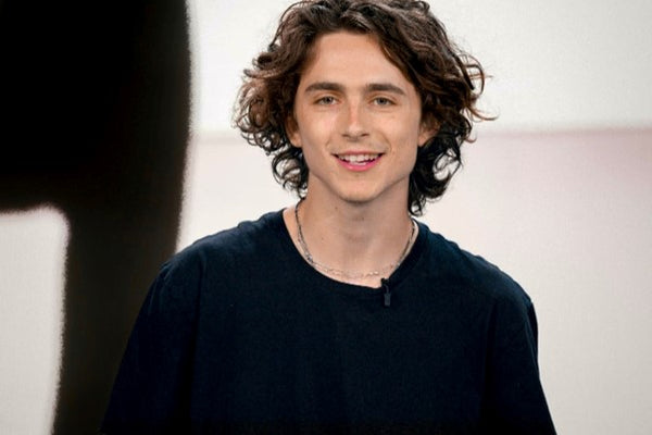 Timothée Chalamet: Medium Length Curly Hairstyle