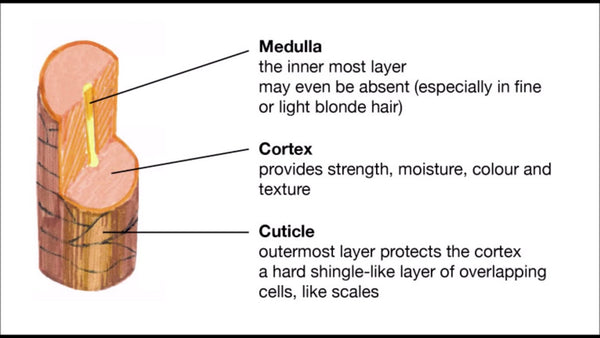 What Is a Heat Protectant & Why Do I Need It?