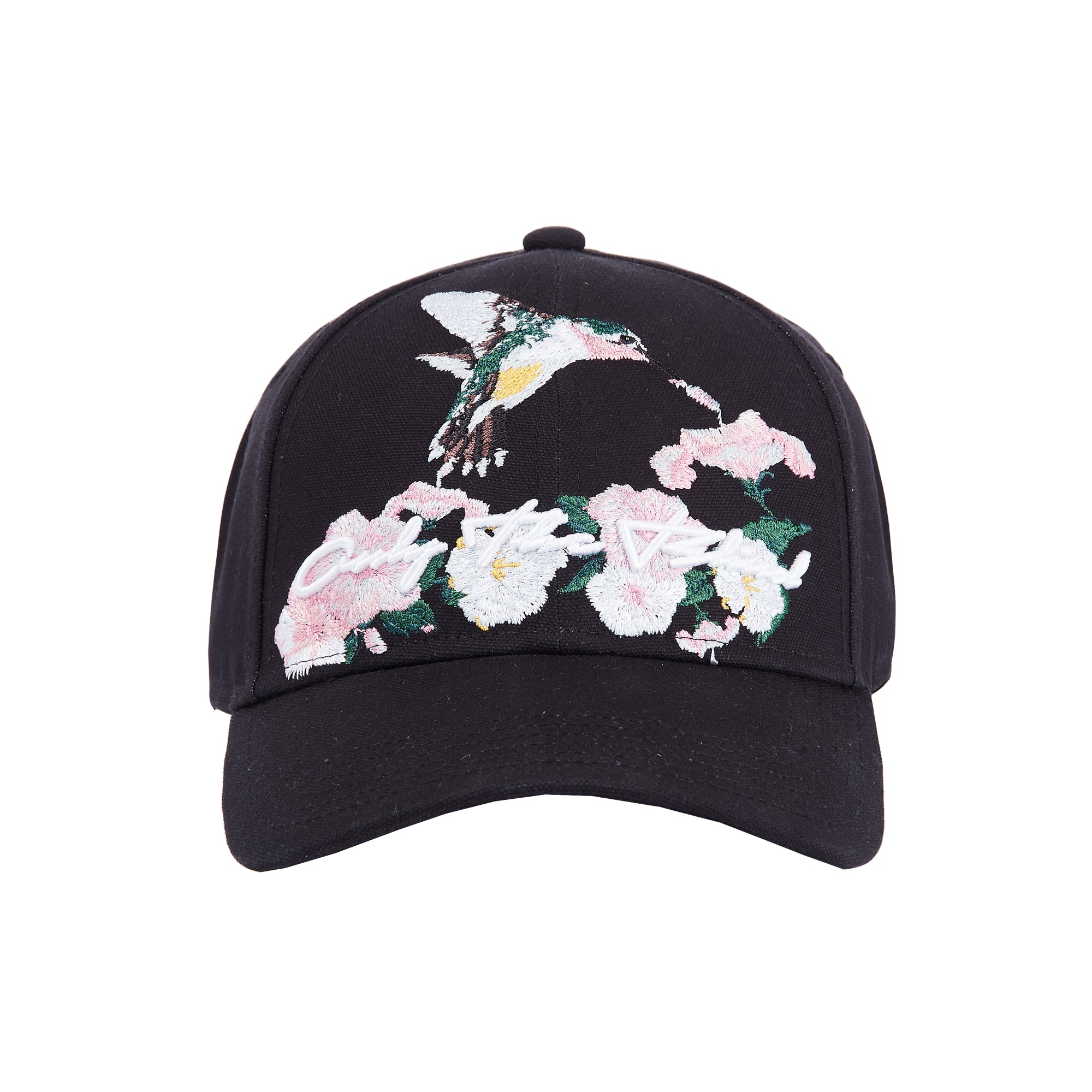 Hummingbird Baseball Cap