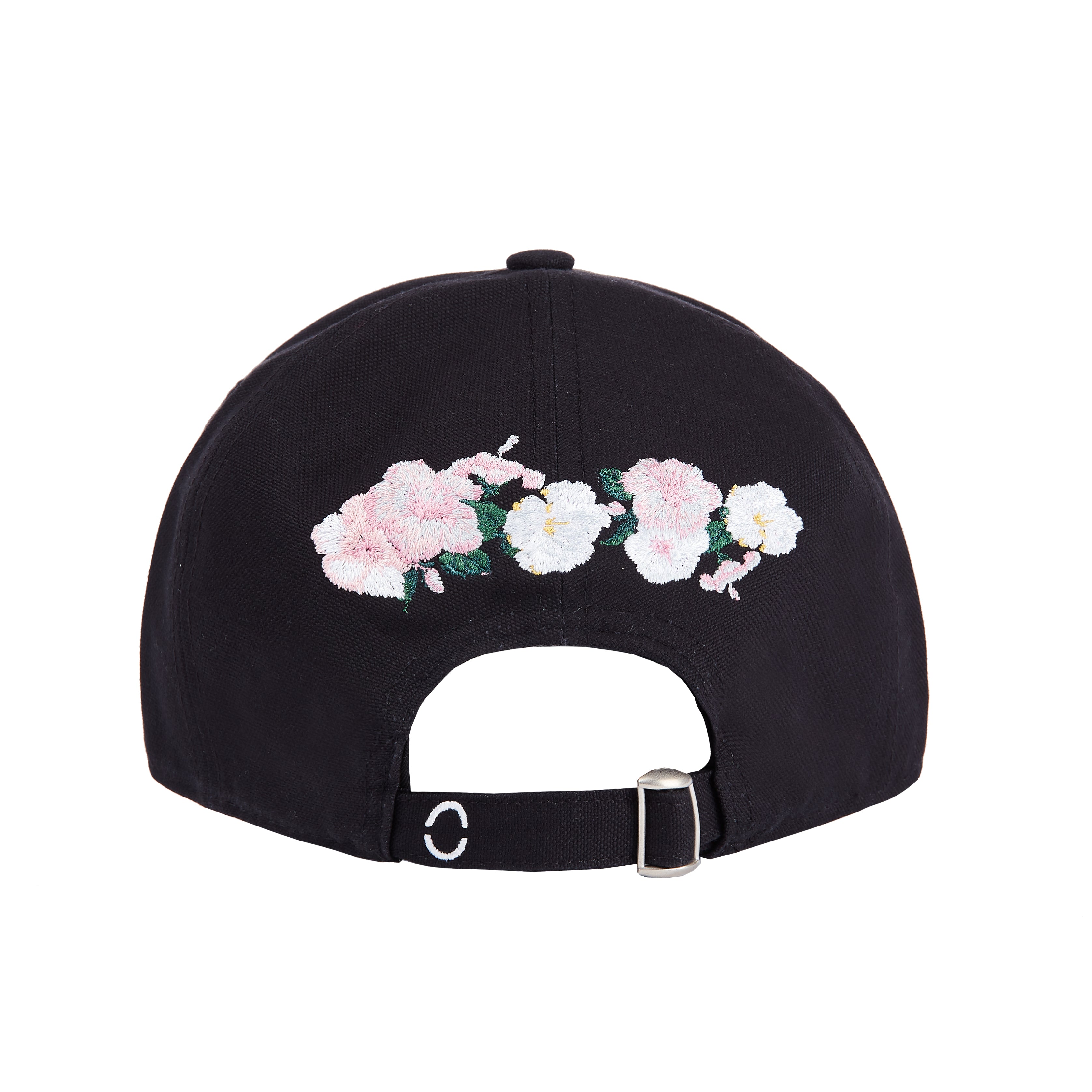 Hummingbird Baseball Cap