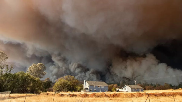 A home in California was overshadowed by towering smoke plumes Source: BBC