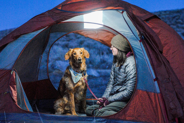 Person and dog inside a tent. Source: Jess Kolsky @nisswathegolden