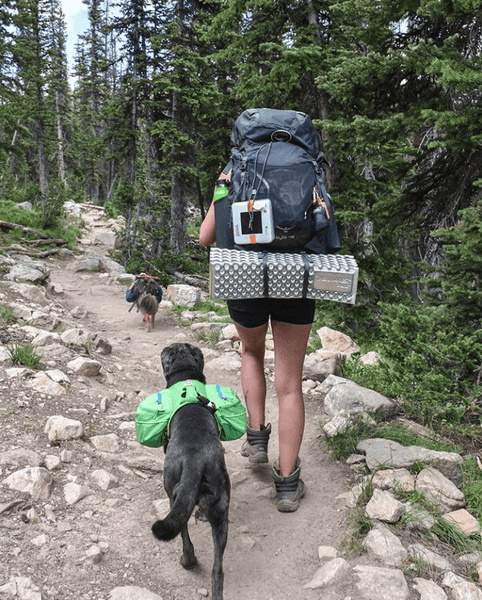 Person and dog hiking. Source: @katieedana on Instagram