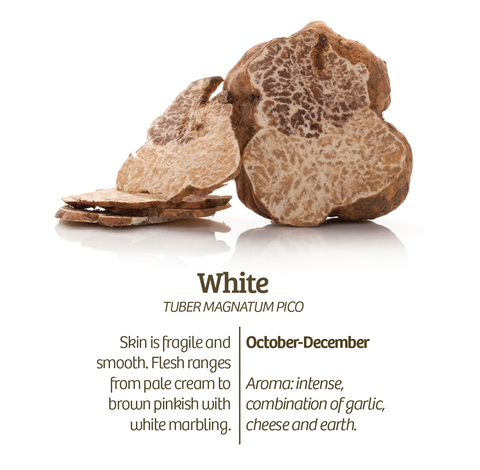 White truffles