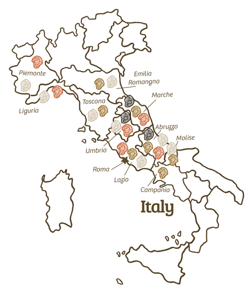 Map of italy