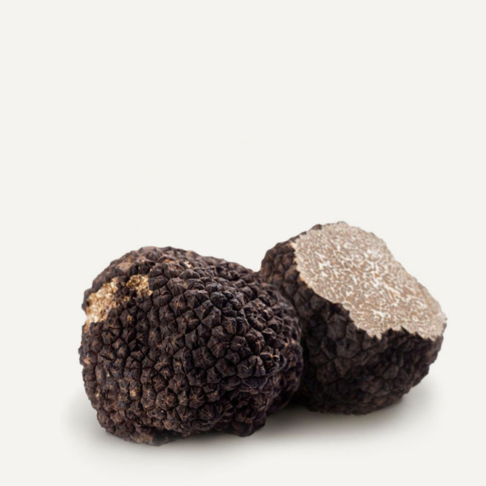 Fresh Black Summer Truffles 2 oz - Sabatino Truffles