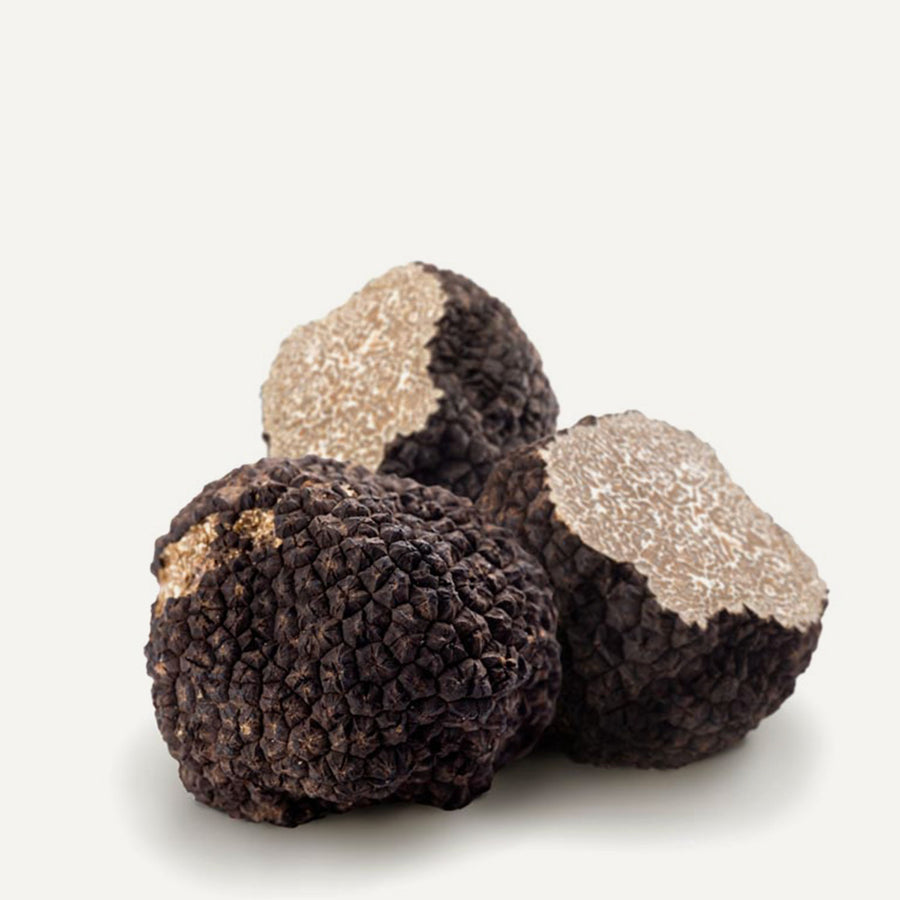 Fresh Black Summer Truffles 4 oz - Sabatino Truffles