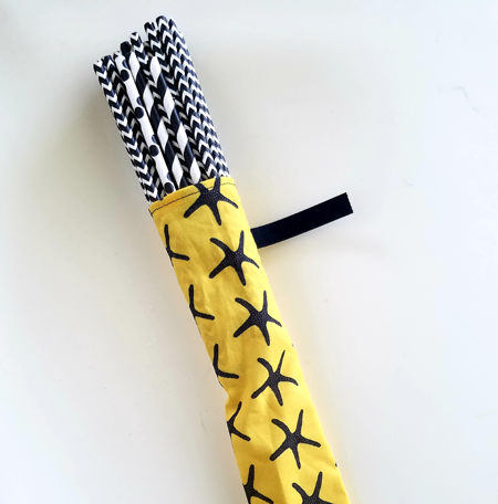 Reusable Straw case with paper straws
