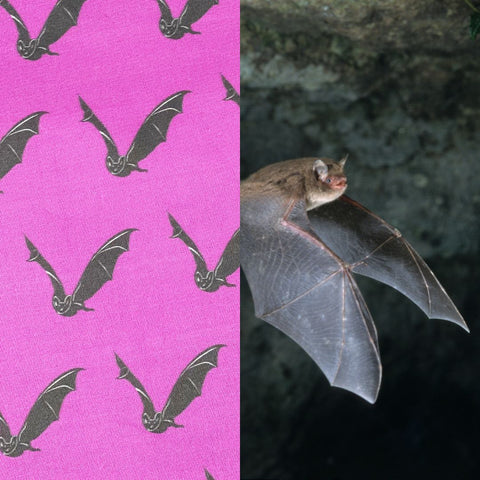 Bat Pattern Collection Wendy Barnes Design