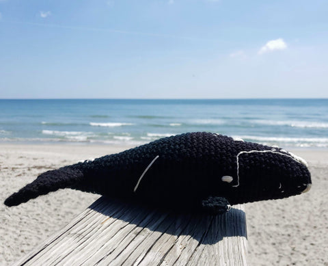 Holiday Gift Guide Right Whale