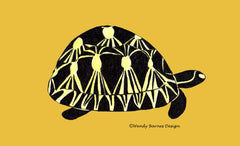 Radiated Tortoise by Wendy Barnes