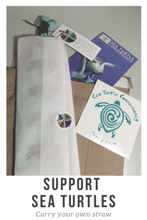 Support Sea Turtle Conservancy with Wendy Barnes Design