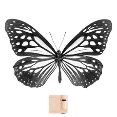 butterfly projector light boogzel apparel