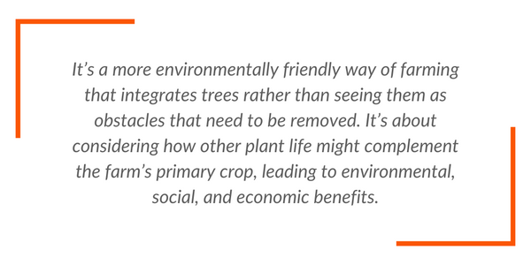 It’s a more environmentally friendly way of farming that integrates trees rather than seeing them as obstacles that need to be removed. It’s about considering how other plant life might complement the farm’s primary crop (in this case cocoa), leading to environmental, social, and economic benefits.