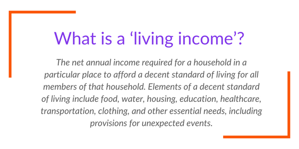 What is a ‘living income’? The net annual income required for a household in a particular place to afford a decent standard of living for all members of that household. Elements of a decent standard of living include food, water, housing, education, healthcare, transportation, clothing, and other essential needs including provisions for unexpected events. 