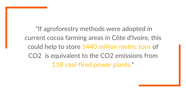 If agroforestry methods were adopted in current cocoa farming areas in Côte d'Ivoire, this could help to store 1440 million metric tons of CO2  is equivalent to the CO2 emissions from 118 coal-fired power plants."