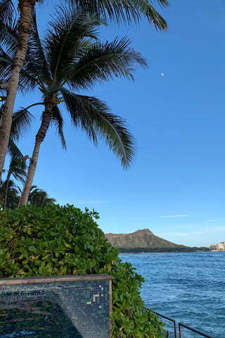 Diamond Head with Palm trees in the background in Hawaii