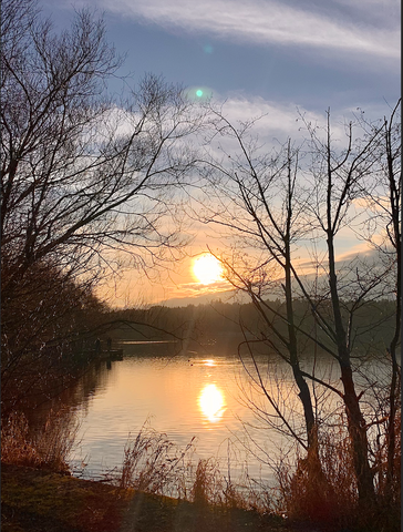 Greenlake park at sunset