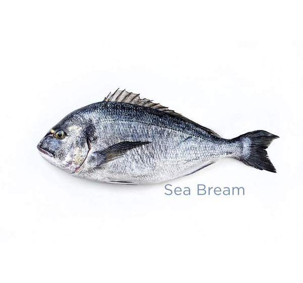 Sea Bream for sale - Parson’s Nose