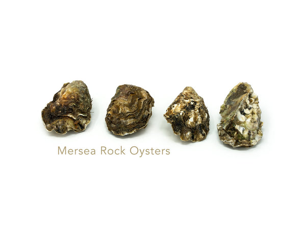 Oysters (Mersea) for sale - Parson’s Nose
