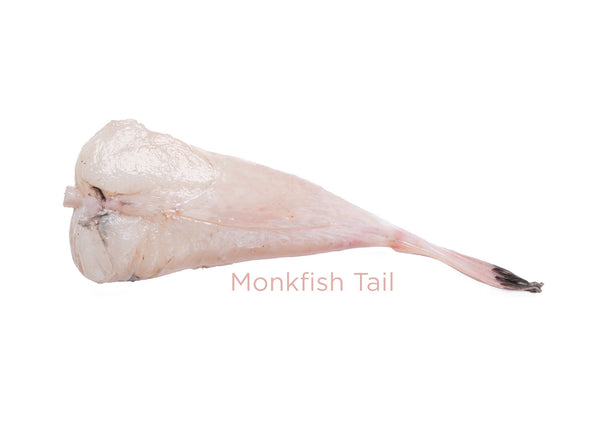 700g Monkfish Tail for sale - Parson’s Nose
