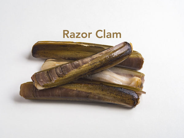 Razor Clams for sale - Parson’s Nose