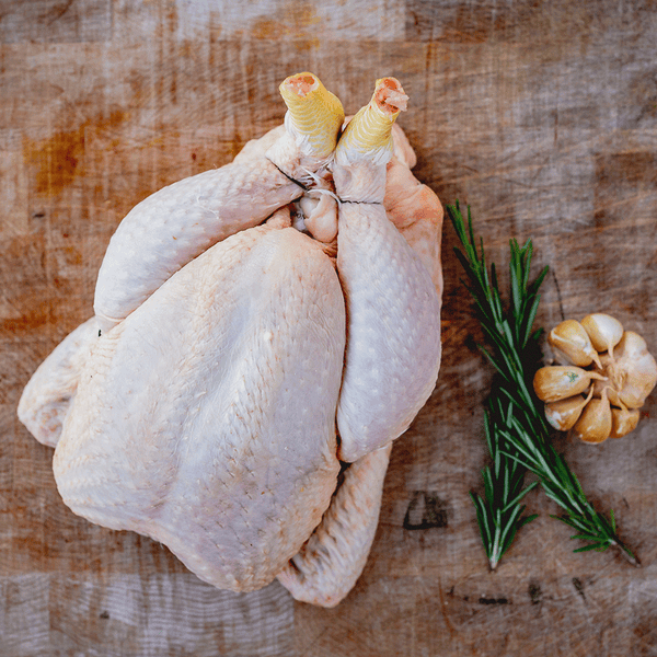 Sutton Hoo Chicken for sale - Parsons Nose