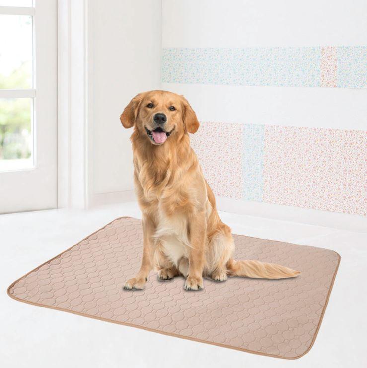 training mat dog