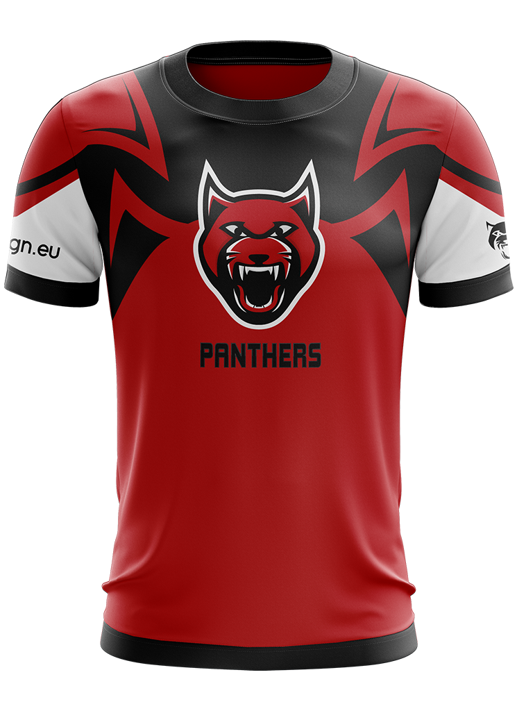 official panthers jersey