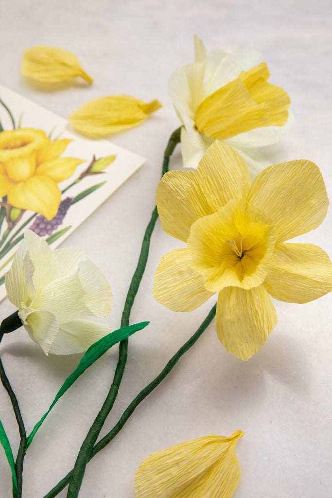 Crepe Paper for flower making in New Zealand