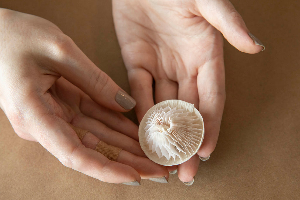 DIY Paper Mushrooms