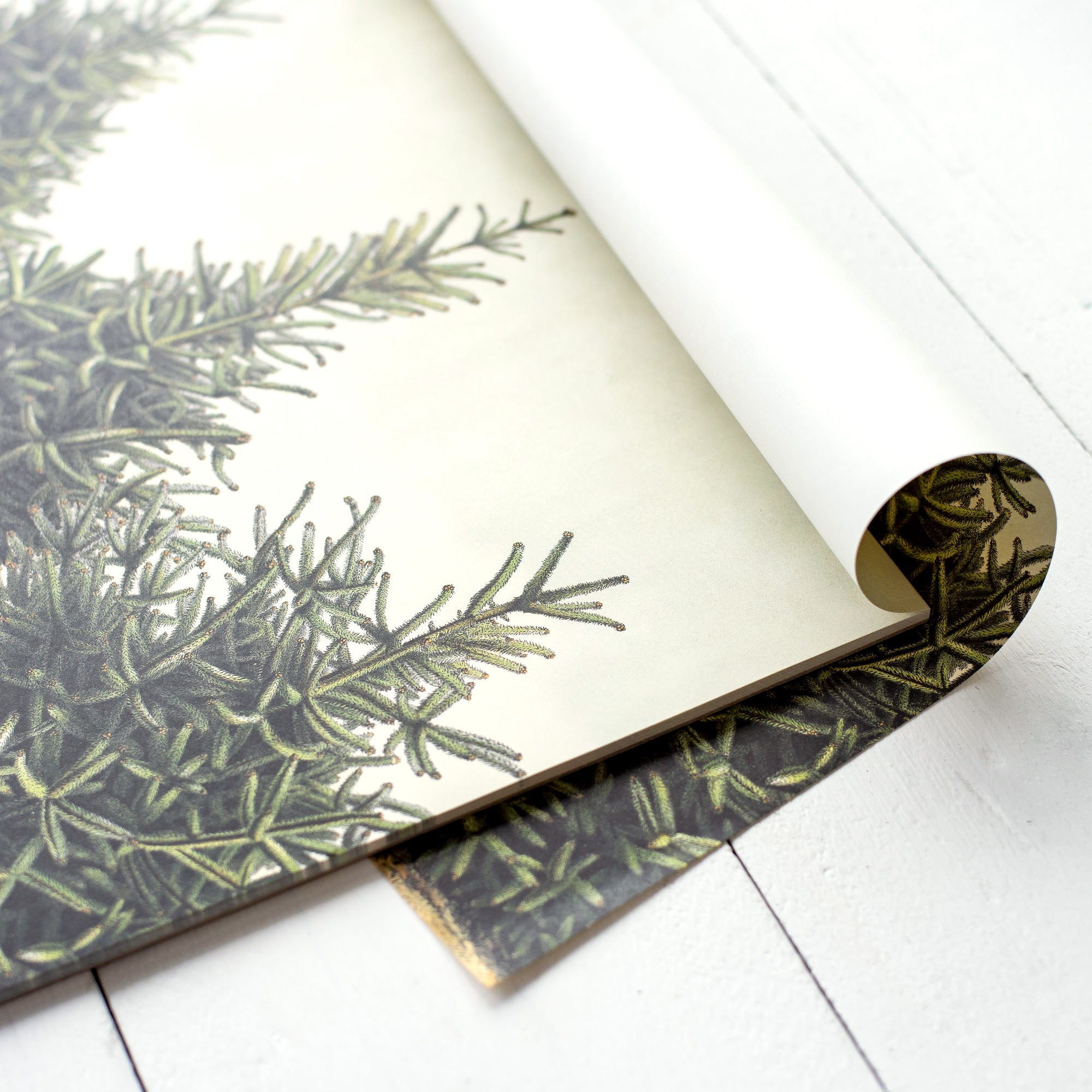 Fir Tree Placemat