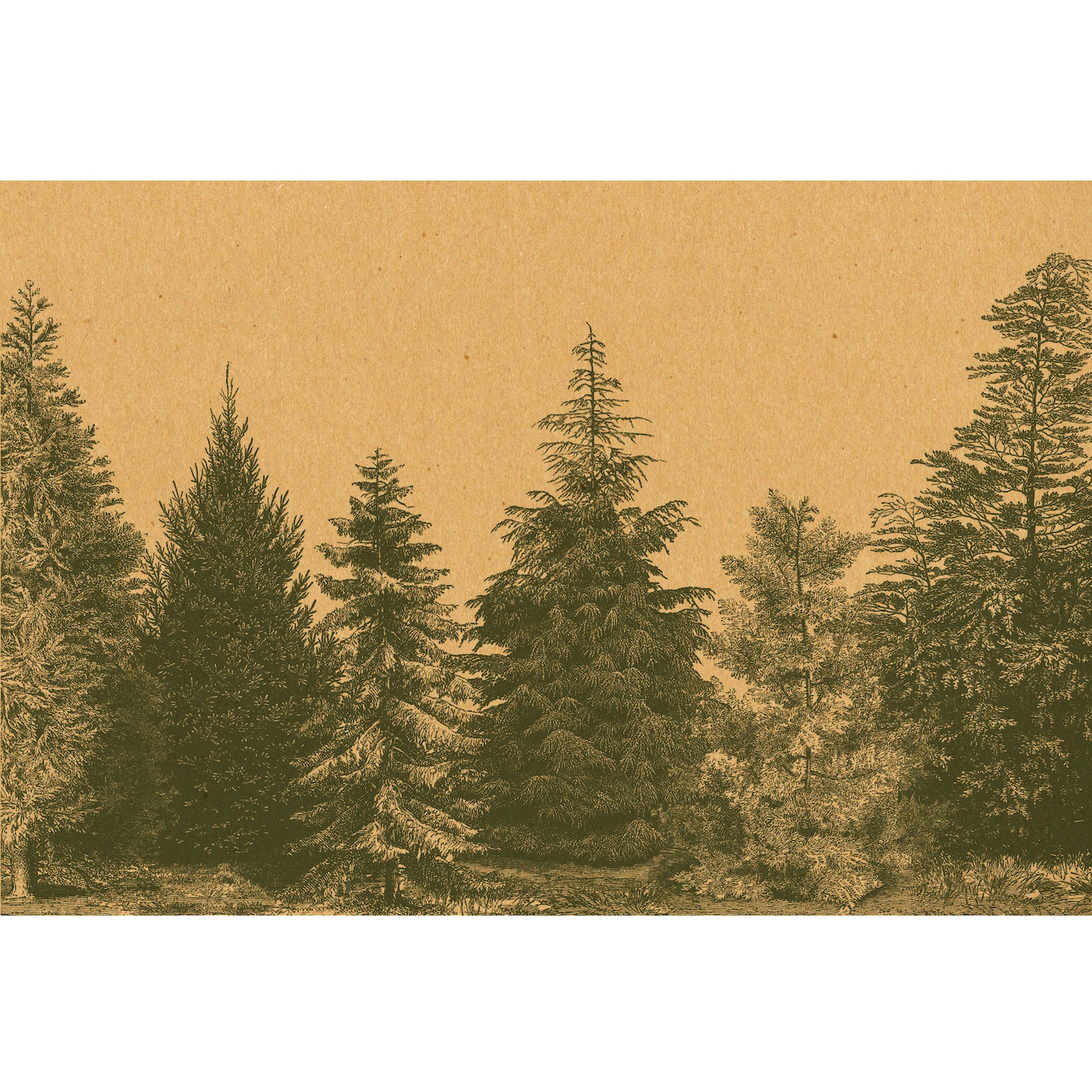 Evergreen on Kraft Placemat