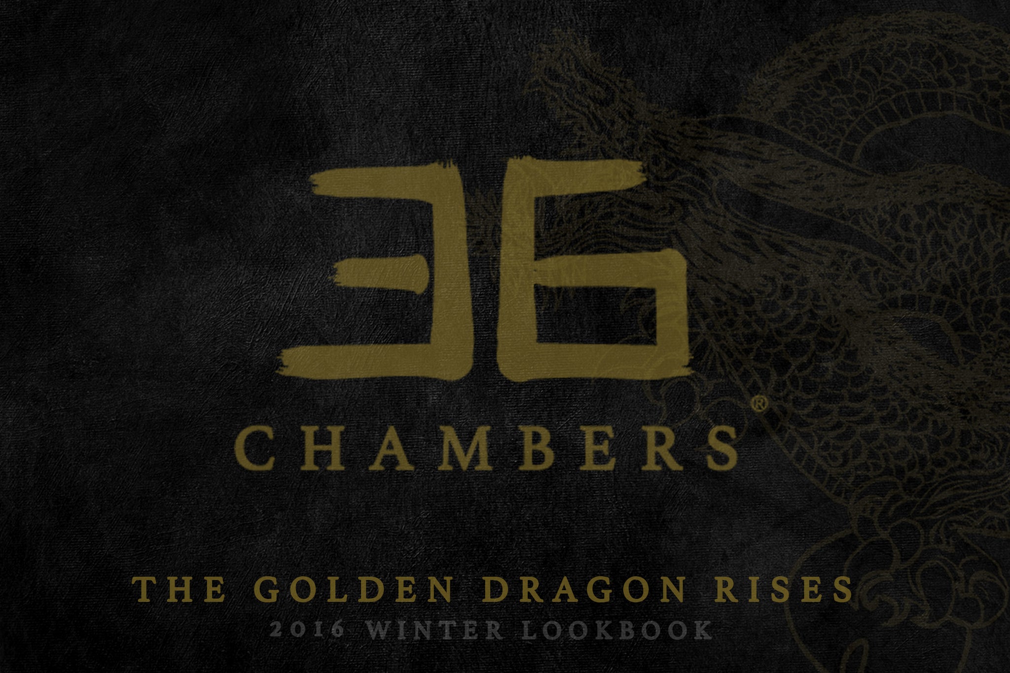 36 Chambers - The Golden Dragon Rises - 2016 Winter Lookbook