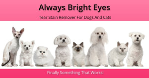bright eyes for dogs tear stains