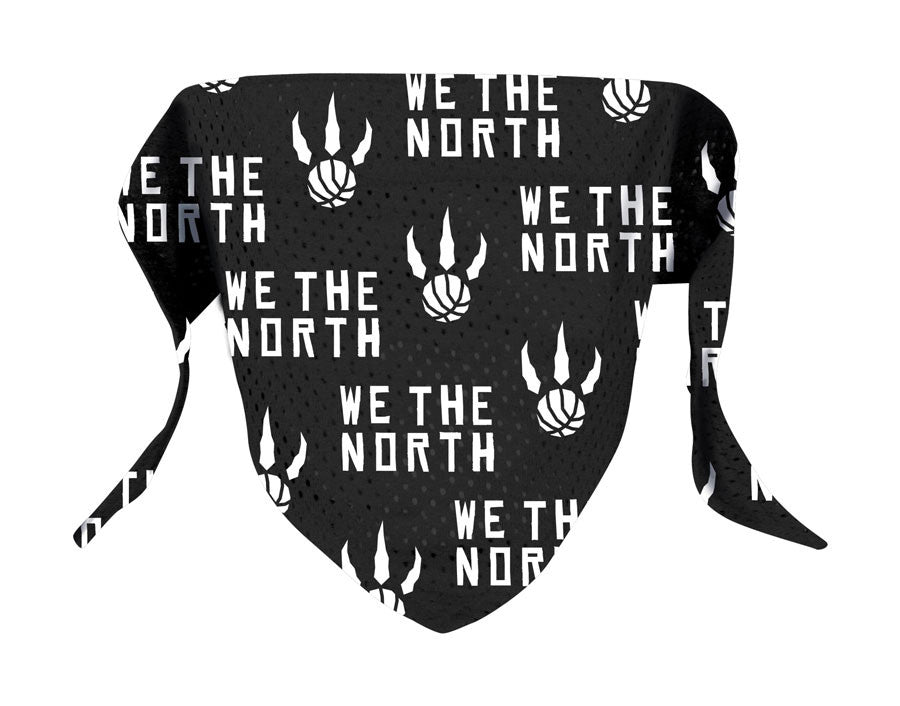 toronto raptors we the north apparel