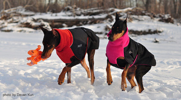 chili dog coats