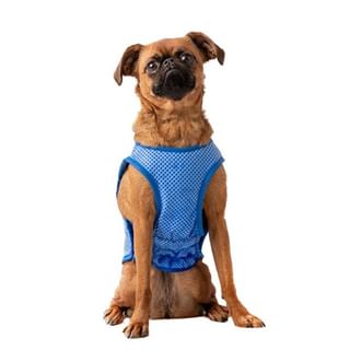 Dog Cooling Vest Ice Vest II